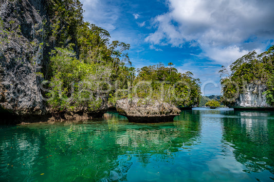 Photo de Waigeo- Kri- Mushroom Island- groupe de petites îles dans un lagon bleu peu profond- Raja Ampat- Papouasie occidentale- Indonésie