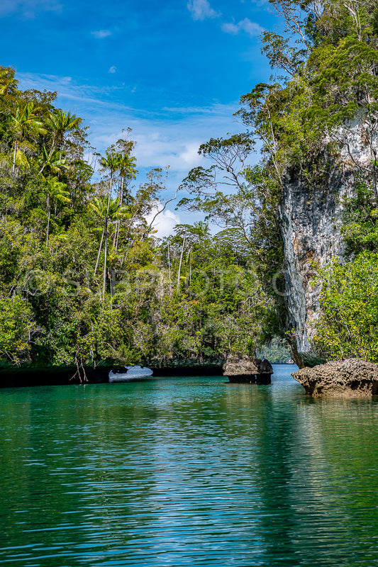 Photo de Waigeo- Kri- Mushroom Island- groupe de petites îles dans un lagon bleu peu profond- Raja Ampat- Papouasie occidentale- Indonésie