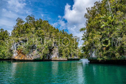 Photo de Waigeo- Kri- Mushroom Island- groupe de petites îles dans un lagon bleu peu profond- Raja Ampat- Papouasie occidentale- Indonésie