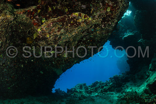 red sea reef cave entrance