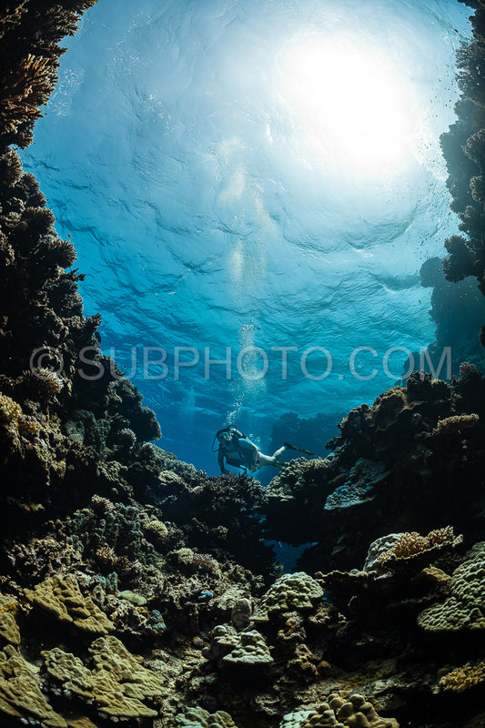 woman diver visiting underwater cave in the Red Sea- egypt- Shaab Claude