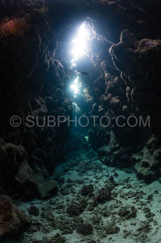 typical underwater cave in a red sea reef
