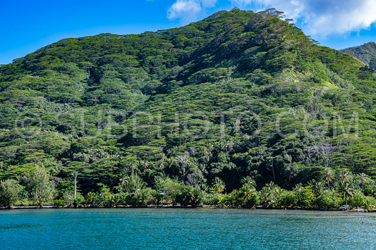 view of Moorea harbor- French Polynesia