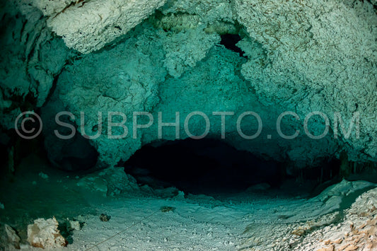 cave diver instructor leading a group of divers in a mexican cenote underwater