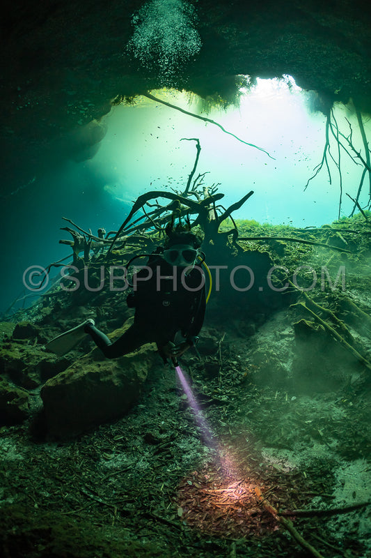 cave diver instructor leading a group of divers in a mexican cenote underwater