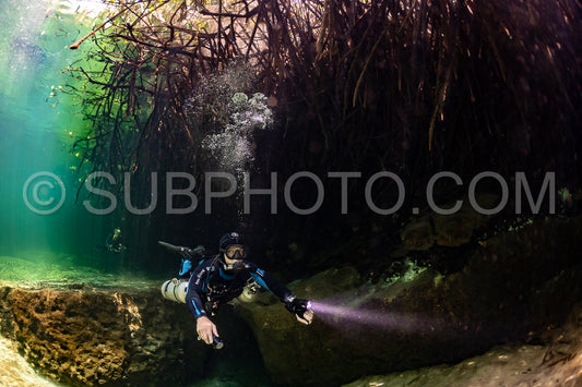 cave diver instructor leading a group of divers in a mexican cenote underwater