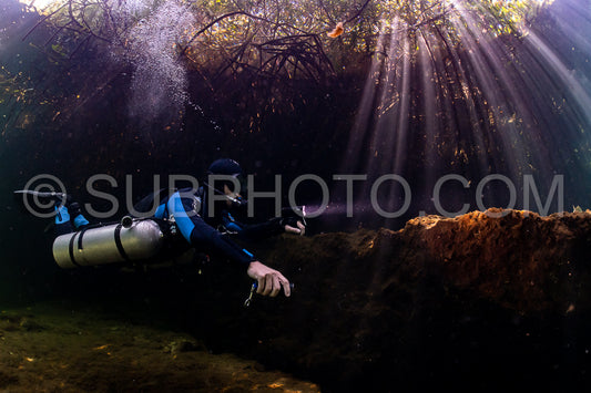 cave diver instructor leading a group of divers in a mexican cenote underwater