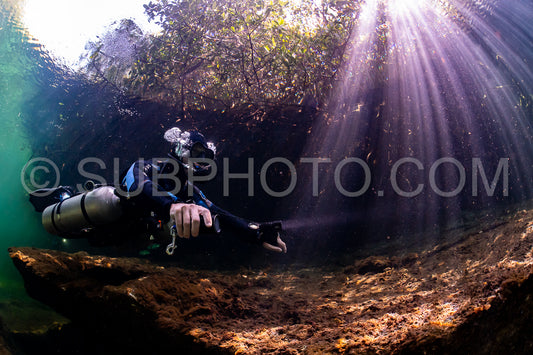 cave diver instructor leading a group of divers in a mexican cenote underwater