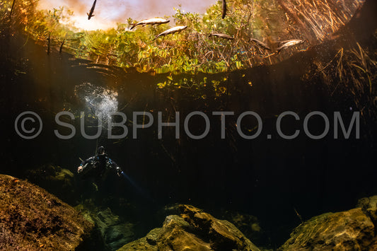 cave diver instructor leading a group of divers in a mexican cenote underwater