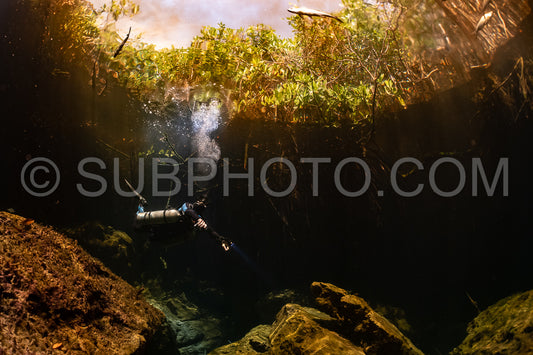 cave diver instructor leading a group of divers in a mexican cenote underwater