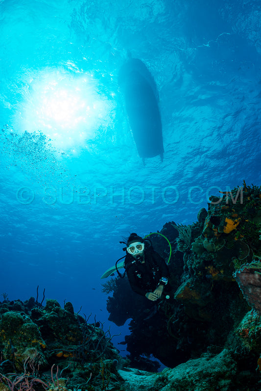 woman scuba diving on Cozumel coral reef in Mexico