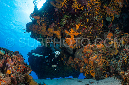 woman scuba diving on Cozumel coral reef in Mexico