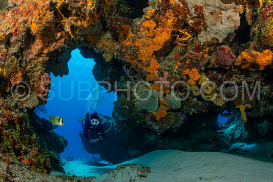 woman scuba diving on Cozumel coral reef in Mexico