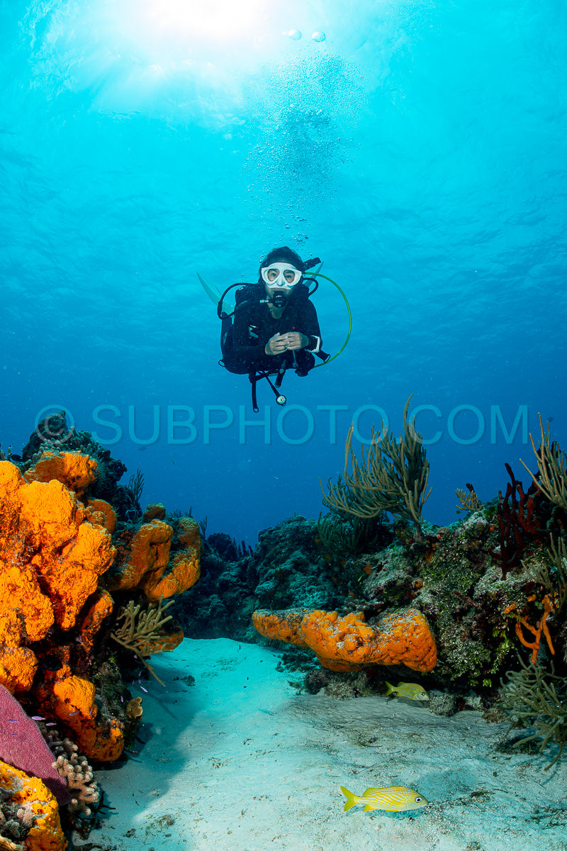 woman scuba diving on Cozumel coral reef in Mexico