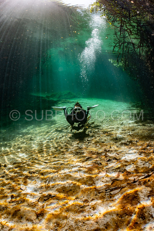 cave diver instructor leading a group of divers in a mexican cenote underwater