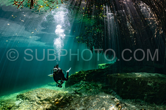 cave diver instructor leading a group of divers in a mexican cenote underwater