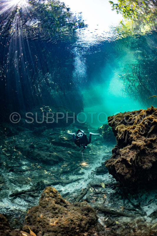 cave diver instructor leading a group of divers in a mexican cenote underwater