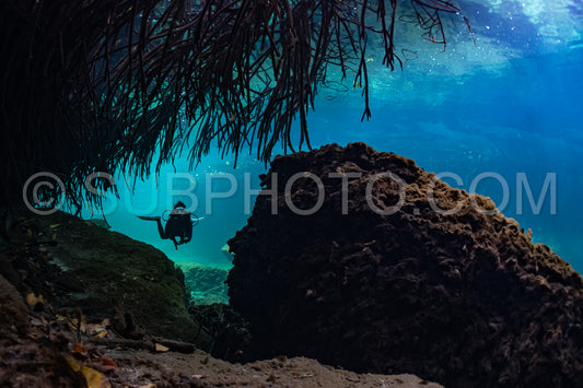 cave diver instructor leading a group of divers in a mexican cenote underwater