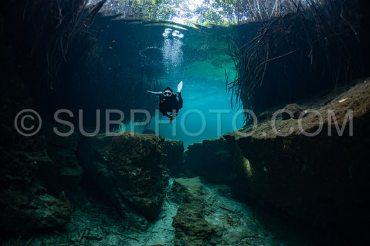 cave diver instructor leading a group of divers in a mexican cenote underwater
