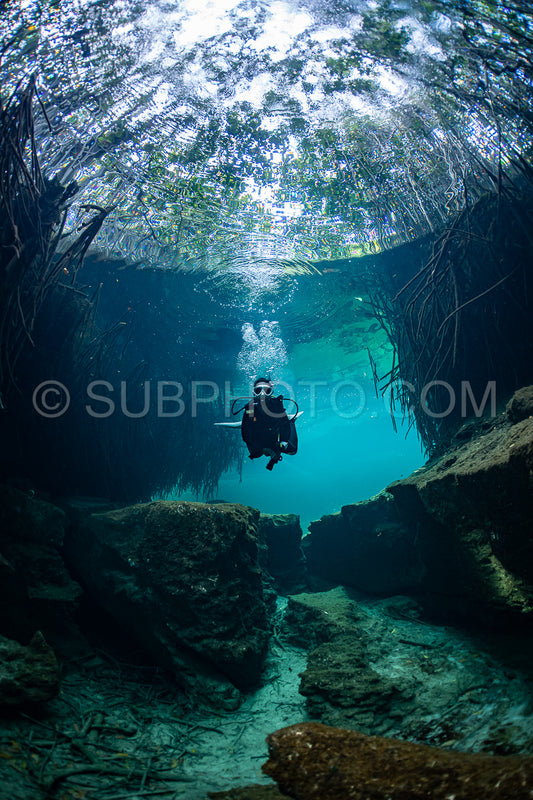 cave diver instructor leading a group of divers in a mexican cenote underwater
