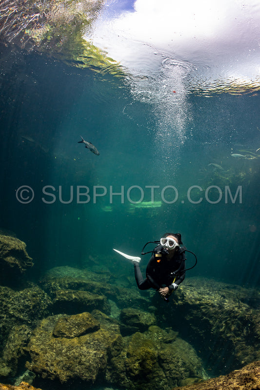 cave diver instructor leading a group of divers in a mexican cenote underwater