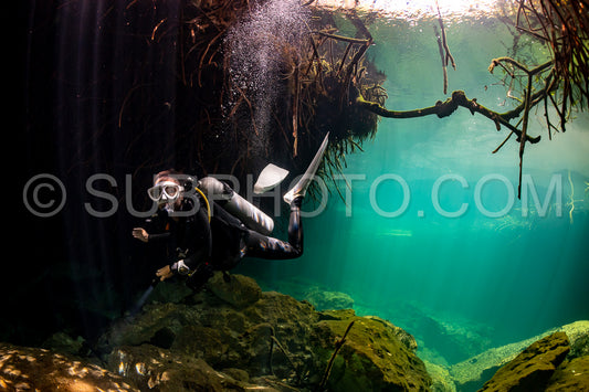 cave diver instructor leading a group of divers in a mexican cenote underwater