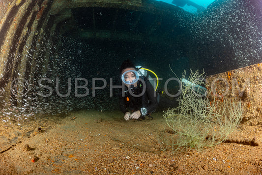 scuba diver over a wreck in the  Sea of Cortez