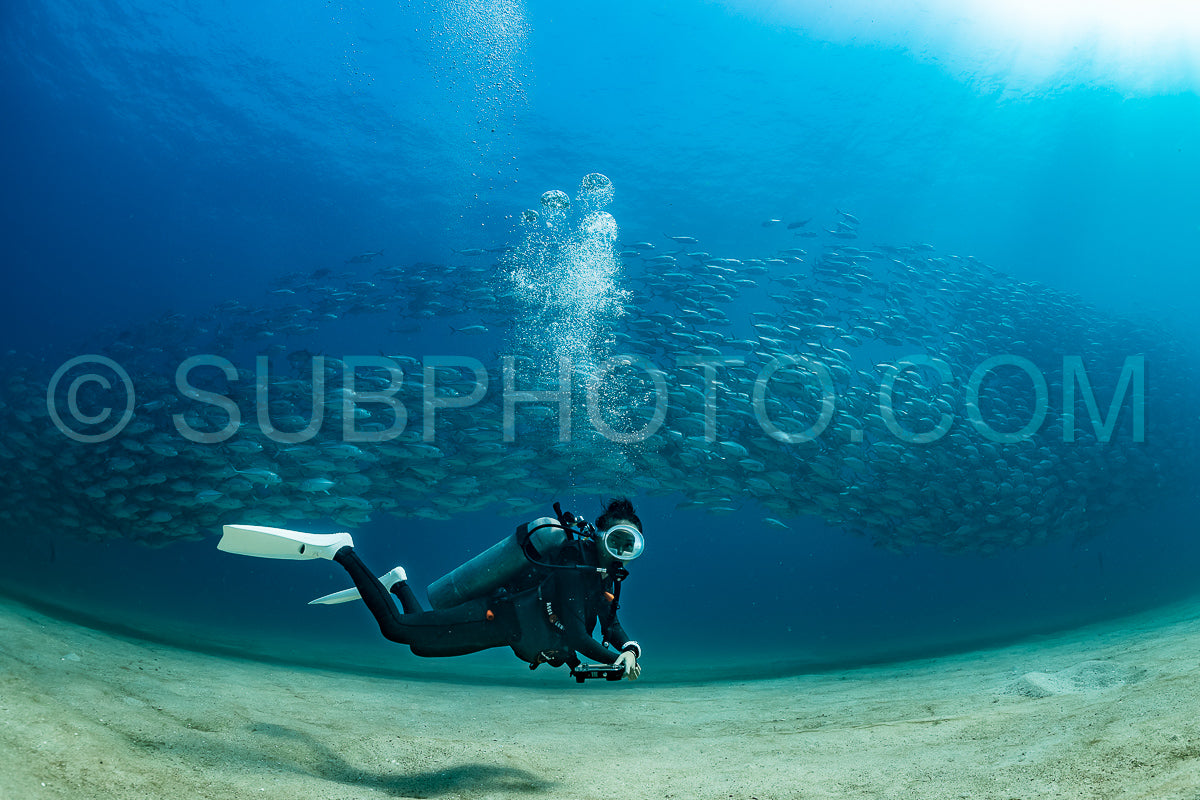 scuba diver with Cabo Pulmo jack tornado under sunny sky