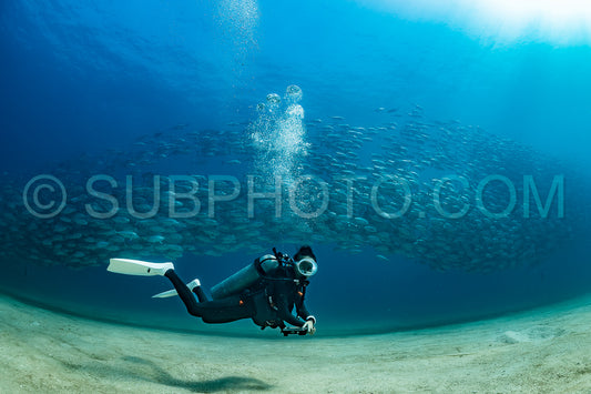 scuba diver with Cabo Pulmo jack tornado under sunny sky