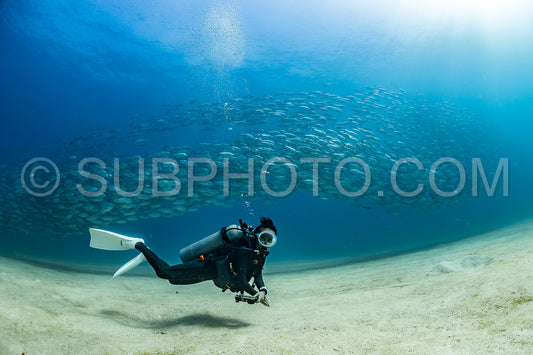 scuba diver with Cabo Pulmo jack tornado under sunny sky