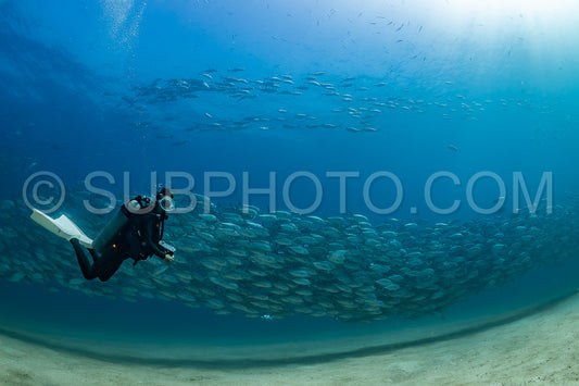 scuba diver with Cabo Pulmo jack tornado under sunny sky