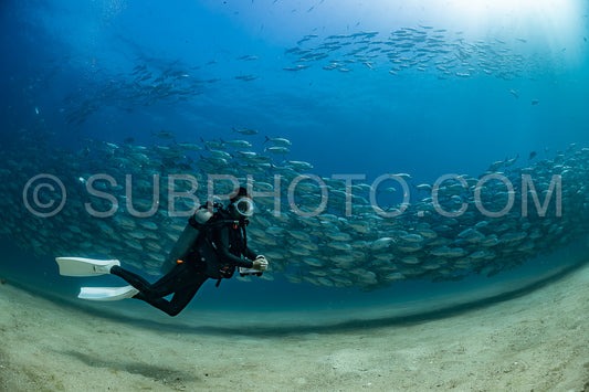 scuba diver with Cabo Pulmo jack tornado under sunny sky