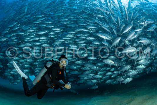scuba diver with Cabo Pulmo jack tornado under sunny sky