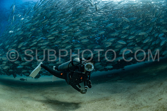 scuba diver with Cabo Pulmo jack tornado under sunny sky