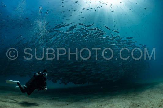 scuba diver with Cabo Pulmo jack tornado under sunny sky
