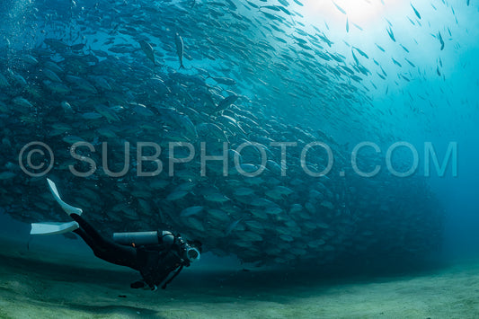 scuba diver with Cabo Pulmo jack tornado under sunny sky