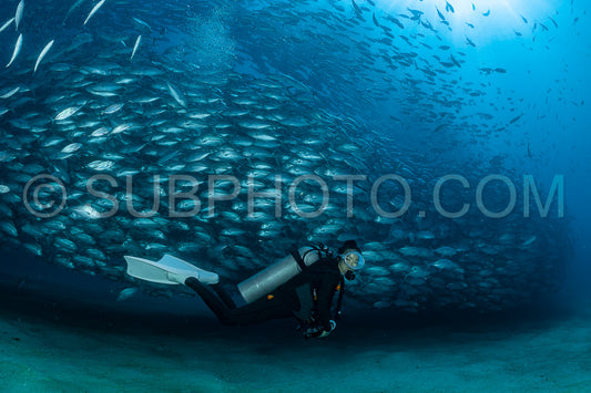 scuba diver with Cabo Pulmo jack tornado under sunny sky