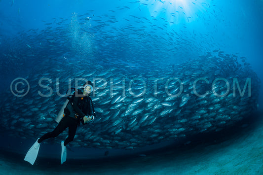 scuba diver with Cabo Pulmo jack tornado under sunny sky