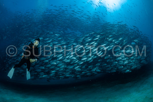 scuba diver with Cabo Pulmo jack tornado under sunny sky