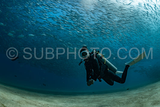 scuba diver with Cabo Pulmo jack tornado under sunny sky