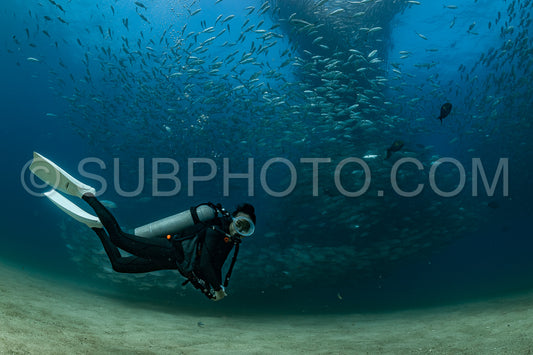 scuba diver with Cabo Pulmo jack tornado under sunny sky
