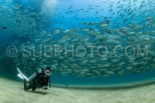 scuba diver with Cabo Pulmo jack tornado under sunny sky