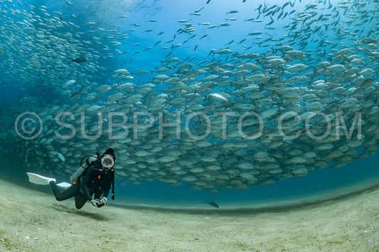 scuba diver with Cabo Pulmo jack tornado under sunny sky