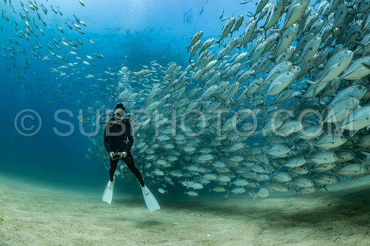 scuba diver with Cabo Pulmo jack tornado under sunny sky