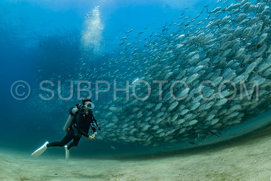 scuba diver with Cabo Pulmo jack tornado under sunny sky