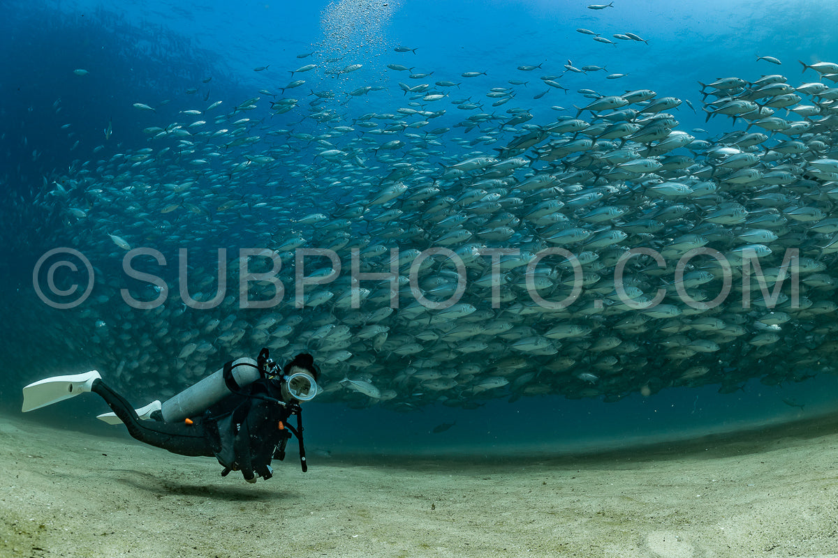 scuba diver with Cabo Pulmo jack tornado under sunny sky