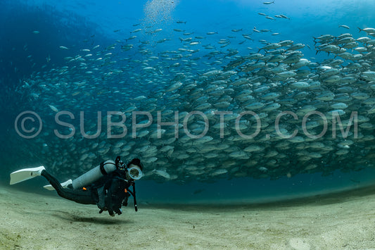 scuba diver with Cabo Pulmo jack tornado under sunny sky