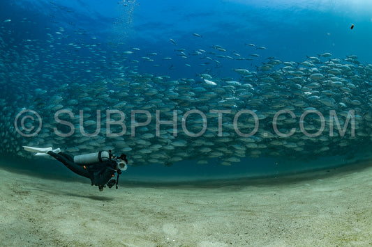 scuba diver with Cabo Pulmo jack tornado under sunny sky