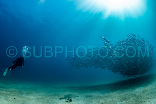 scuba diver with Cabo Pulmo jack tornado under sunny sky