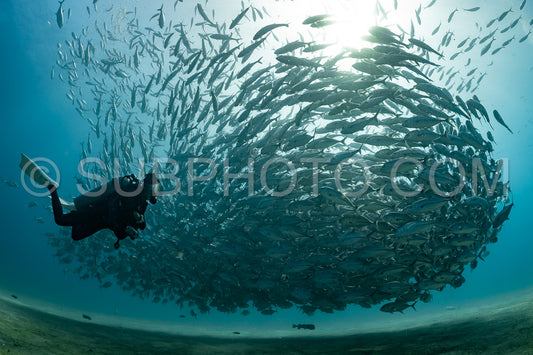 scuba diver with Cabo Pulmo jack tornado under sunny sky